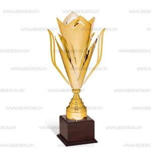 Accra Pokal