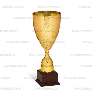 Anur Pokal