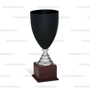 York Pokal
