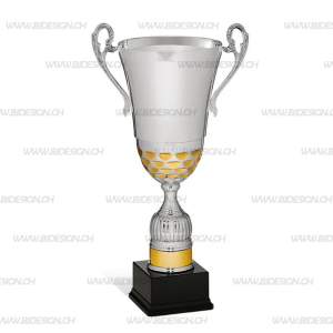 Schwed Pokal