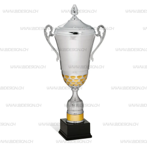 Schwed Pokal + Cover