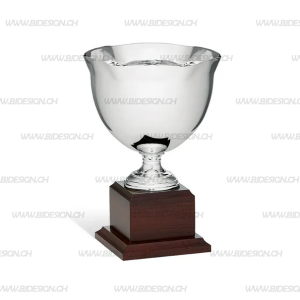 Luk Pokal