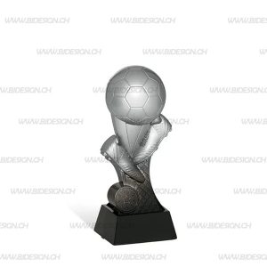 SHOE TROPHY AND BALL