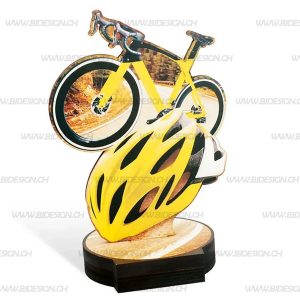 WOOD ROAD BIKE TROPHY