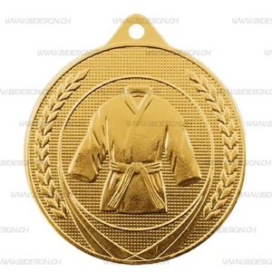 GOLD KARATE MEDAL