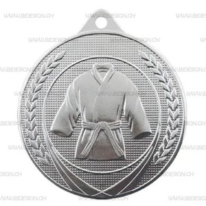 SILVER KARATE MEDAL