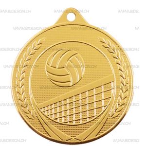 GOLD VOLLEYBALL MEDAL