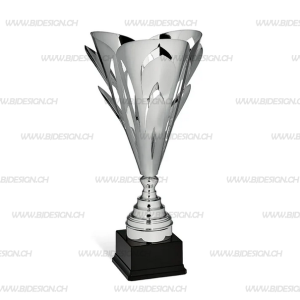 Hurga Pokal
